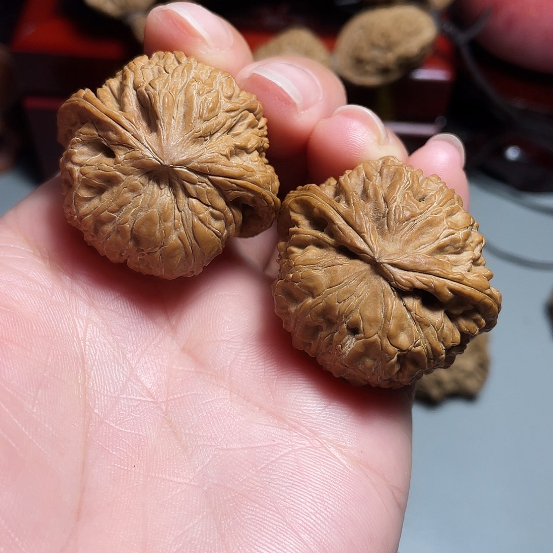 核桃手串/手链精品密纹飞蛇