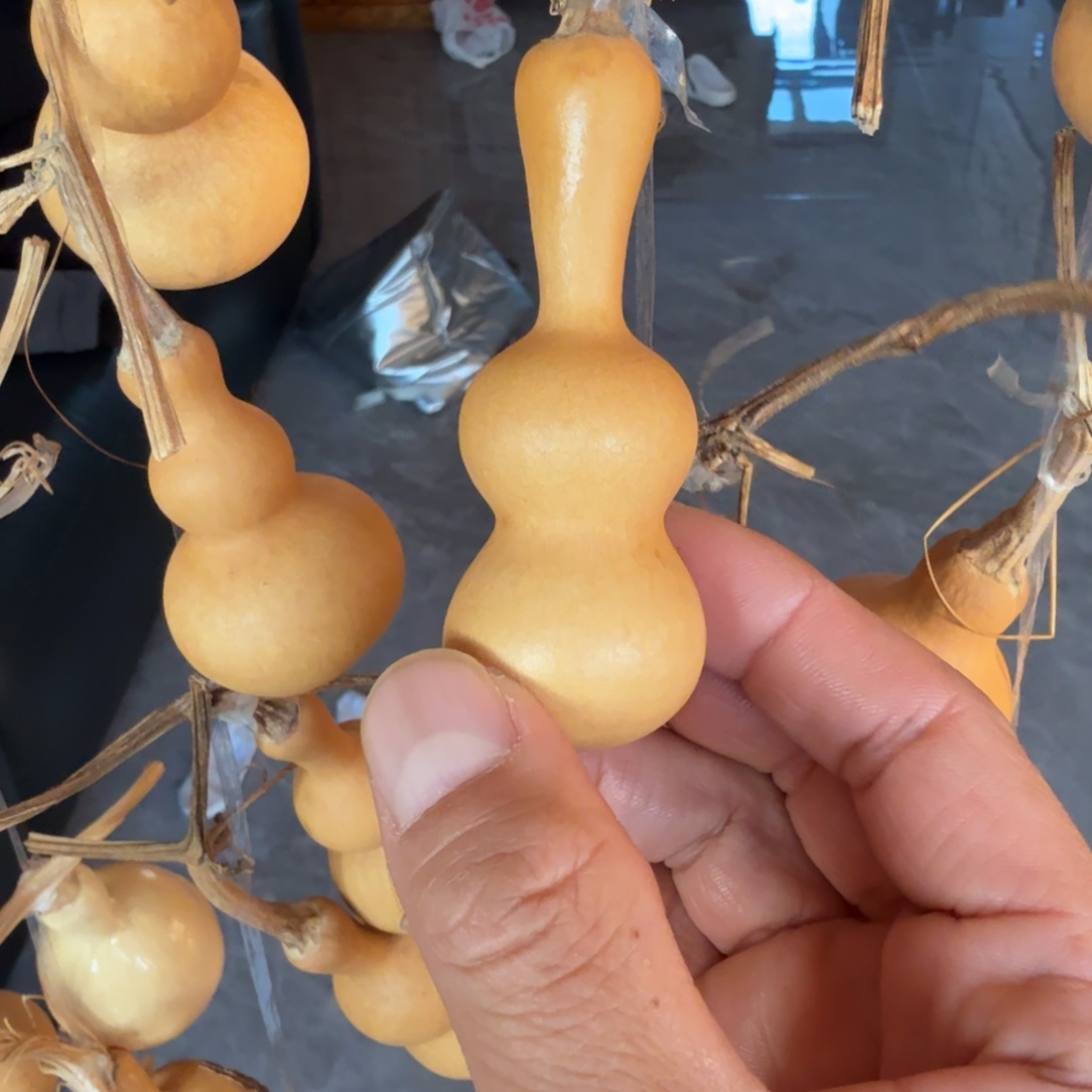 一***行八宝葫芦专拍链接