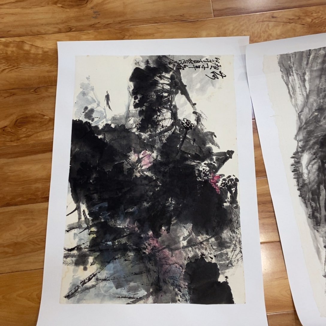 【闪购商品】国画用****0墨鱼精品墨鱼精品