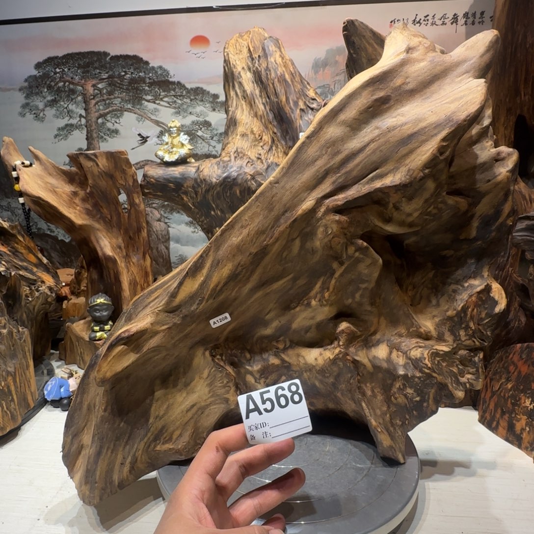 胡***民木哦哦哦哦哦哦哦哦388