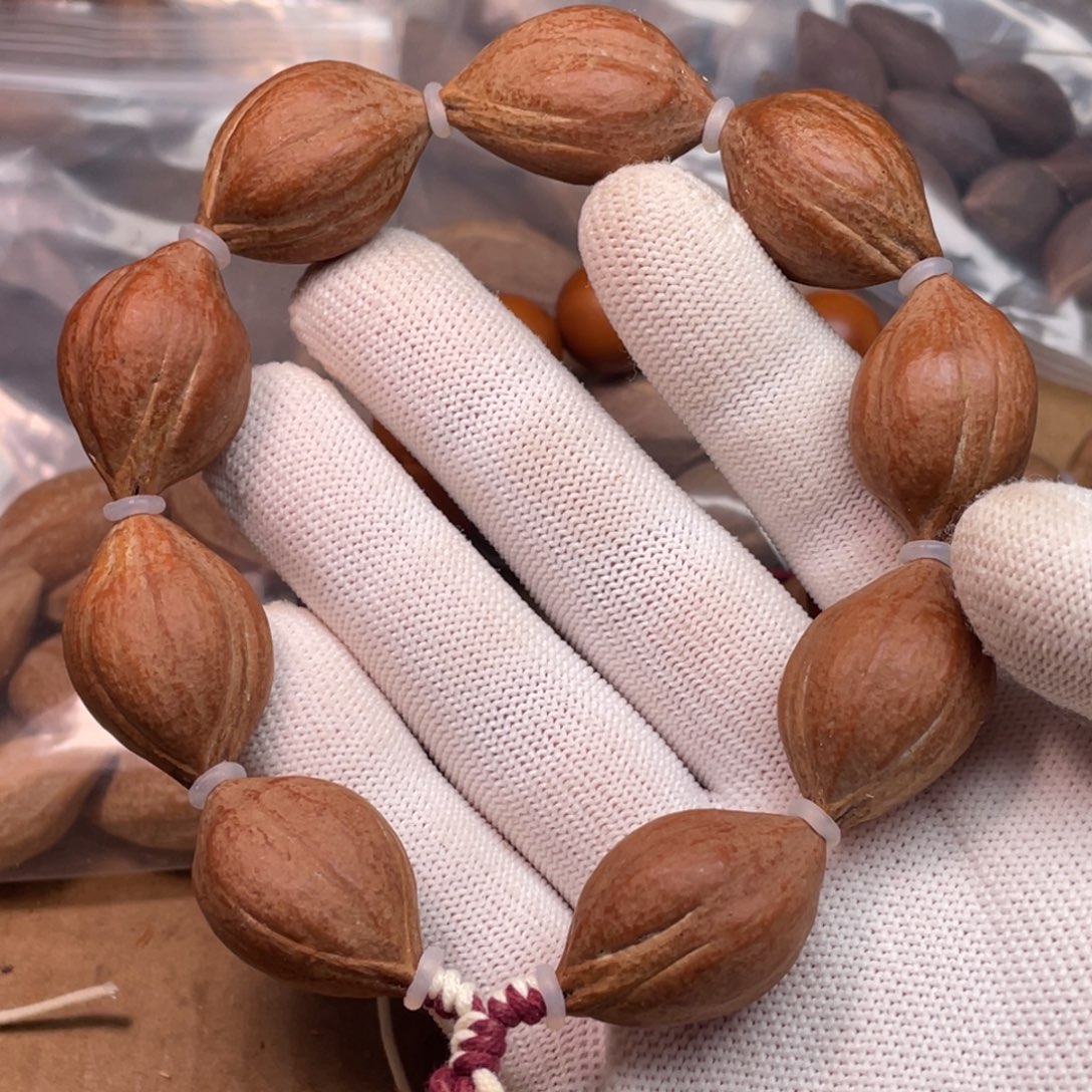 科***塔橄榄核手串/手链1