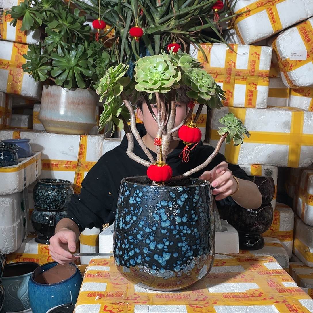 无铅玻璃宜兴紫砂花盆发两个