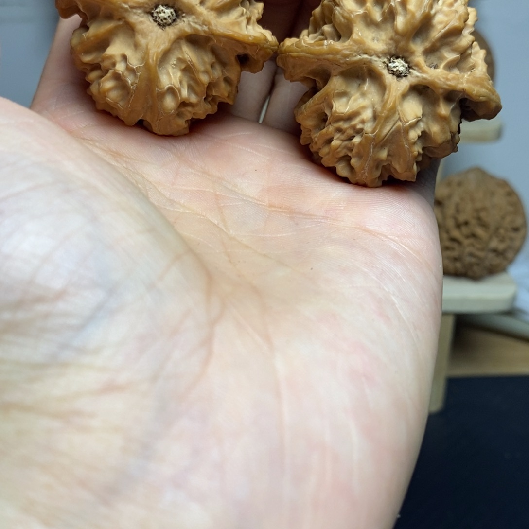 大叶紫檀（黑酸枝木类）42苹果园一对