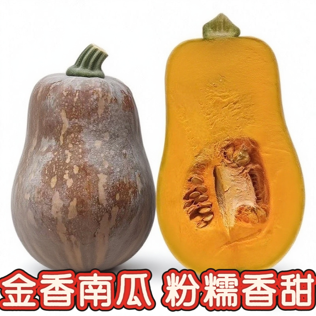 奶油小南瓜花生南瓜小金香南瓜宝宝辅食当季老南瓜粉糯香甜