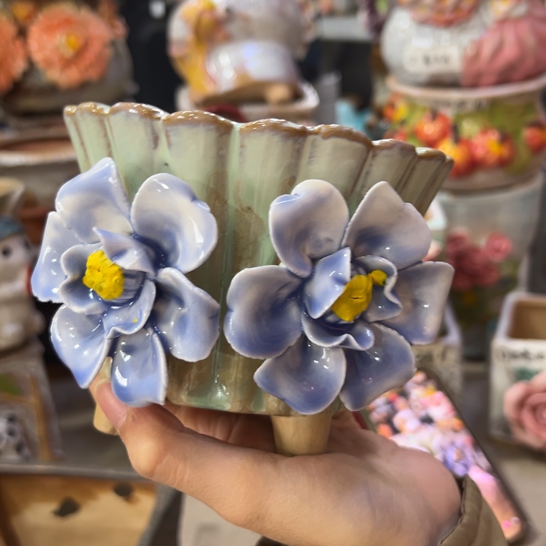 多肉花盆满20发货，爱退款拉黑