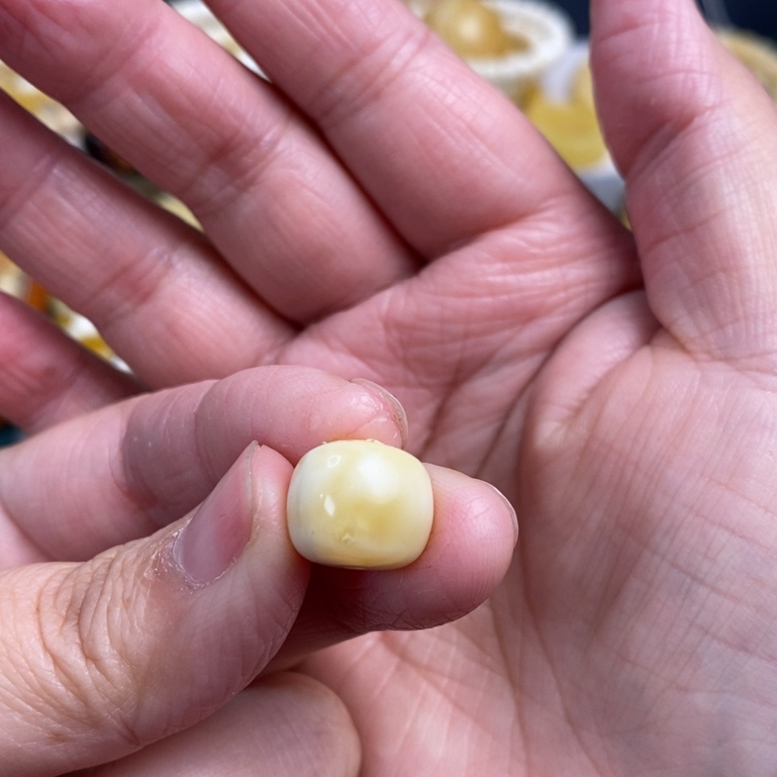 琥珀裸石未镶嵌金瓷白老型单珠12.5×10.5微瑕疵特价