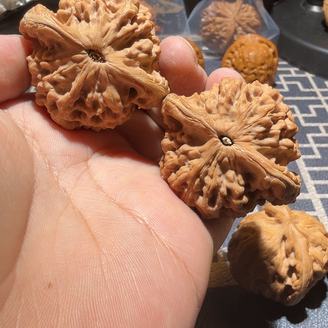 文玩核桃把件米**丫粗筋王