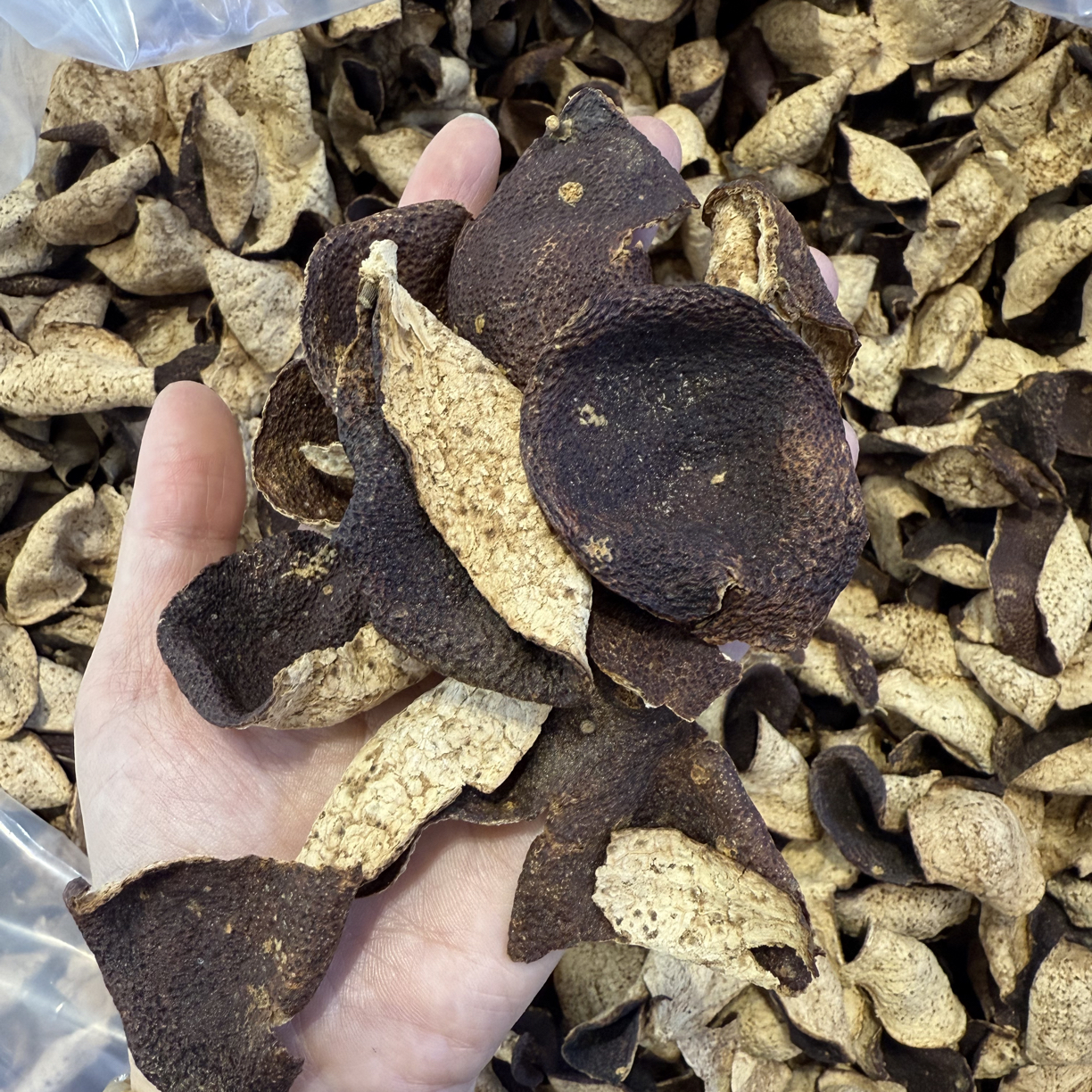 正宗新会陈皮单片福利