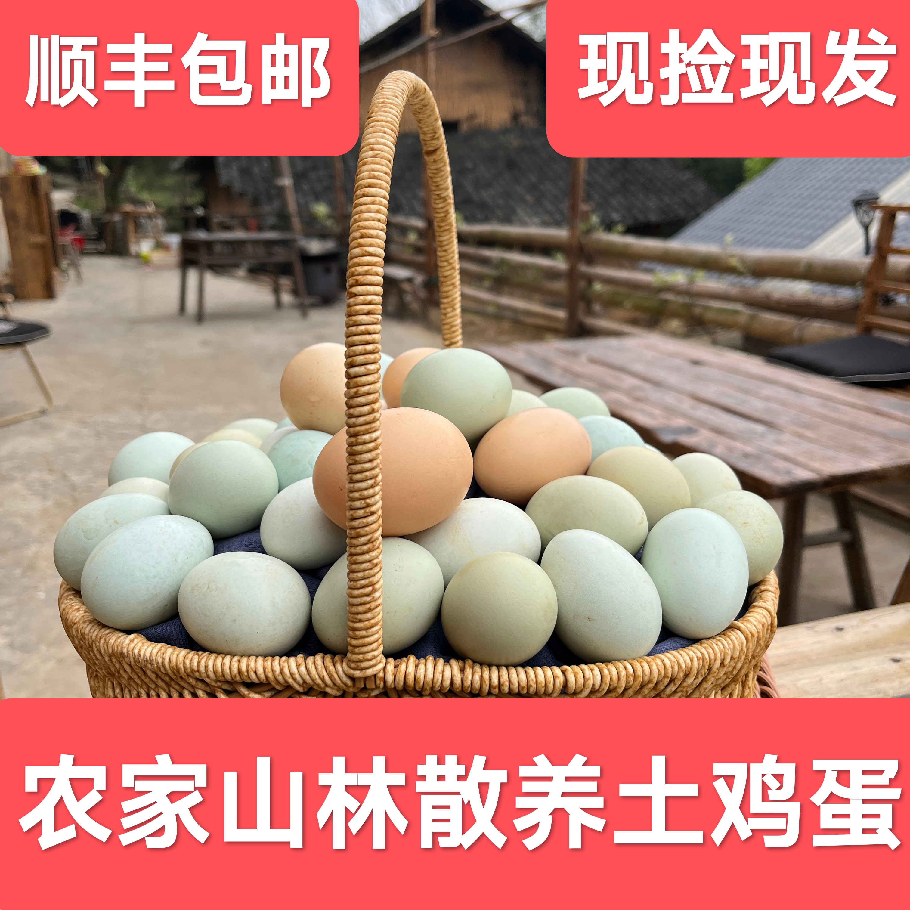50枚【散养土鸡蛋】  山林散养吃五谷杂粮的土鸡生的蛋  现捡现发