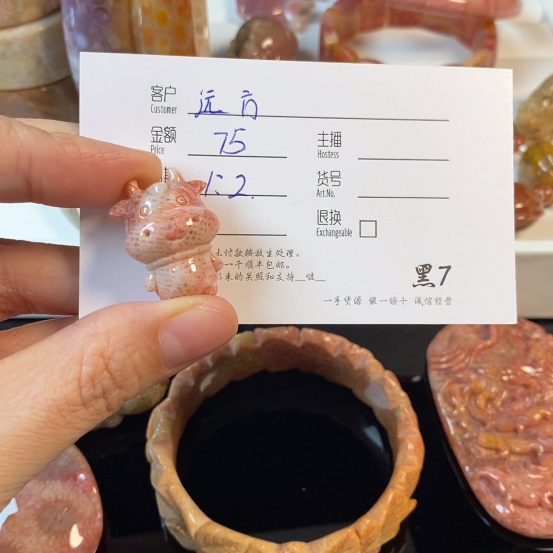 远***方硅化珊瑚（珊瑚玉）未镶嵌颈饰