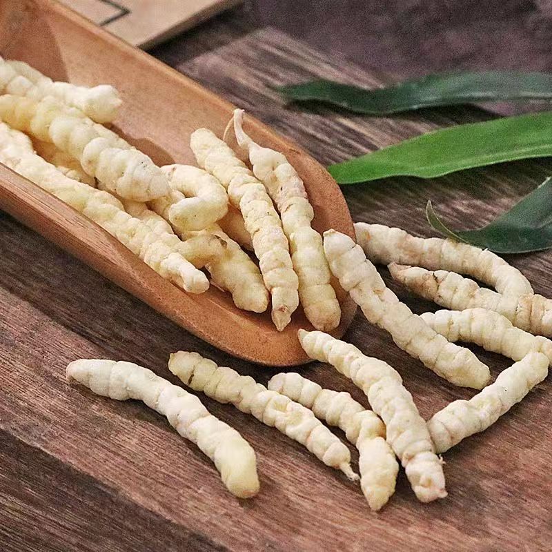 天山珍藏【白虫草】500g   健康专属2
