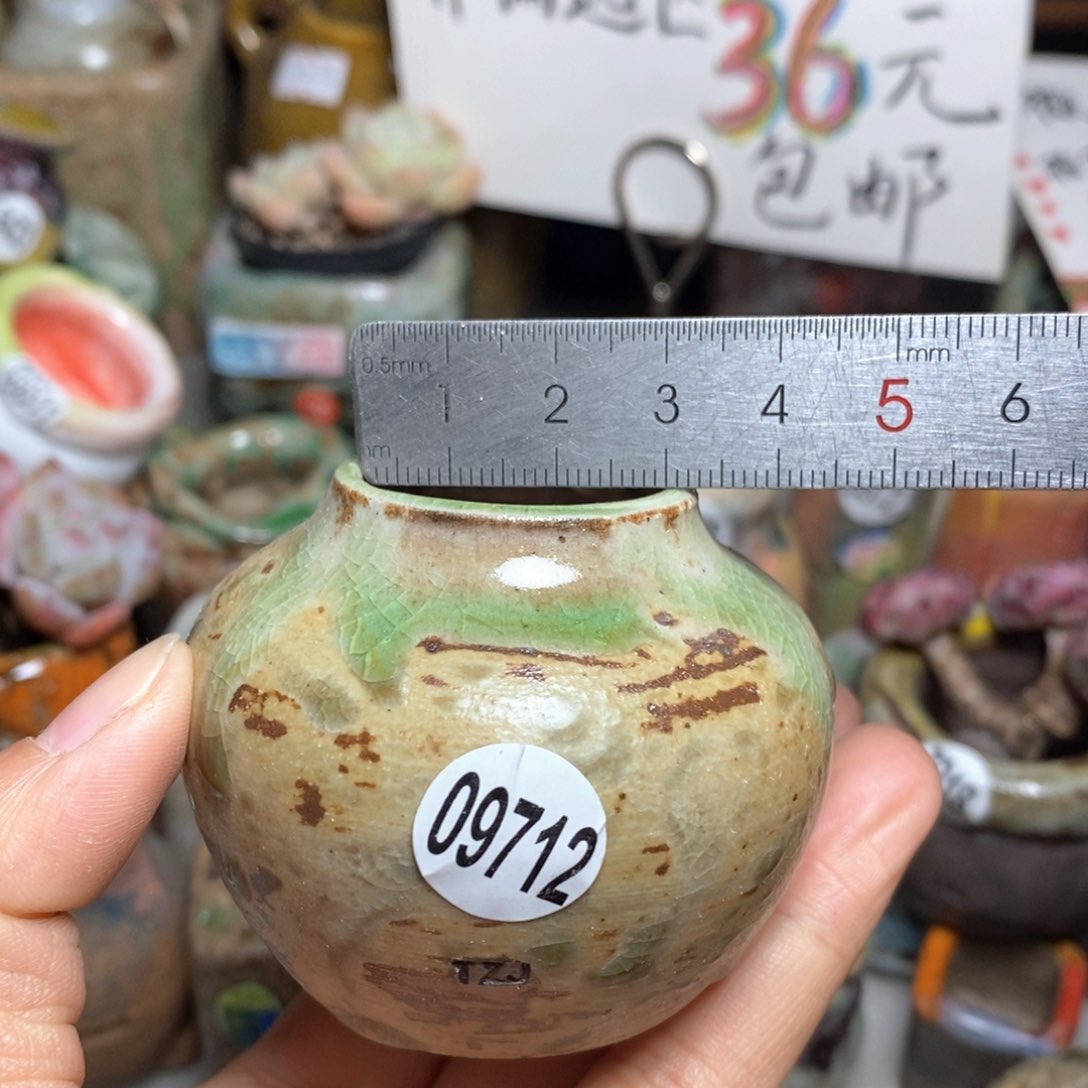 花盆拍5送一个小礼物