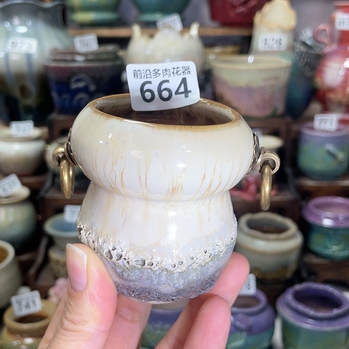 红陶内口径6高度7