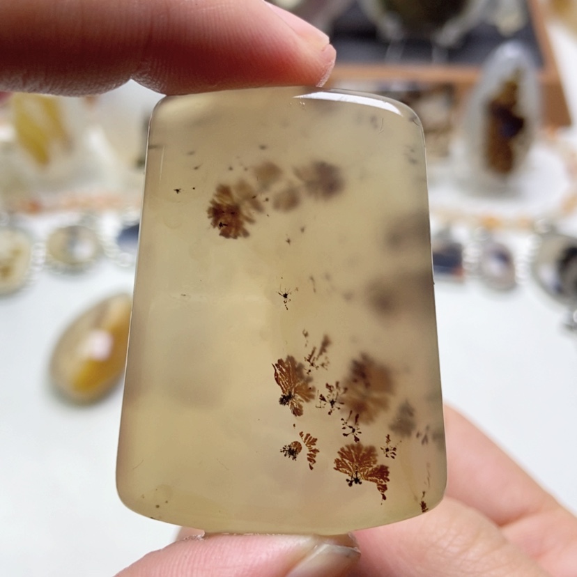 【闪购商品】玛瑙/玉髓颈饰未镶嵌