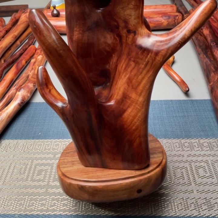 花梨木类虾g g g g g d d d d d