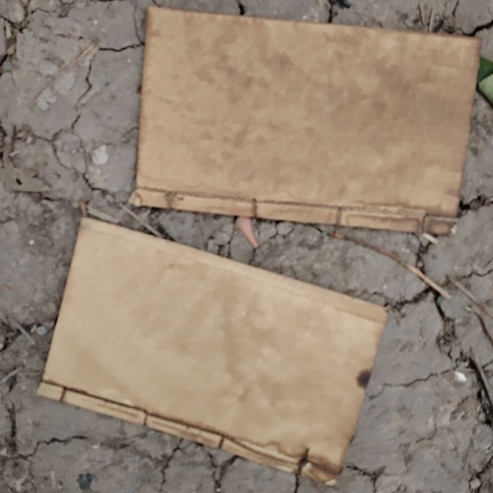 瓷器活动了吗？？？开*刘