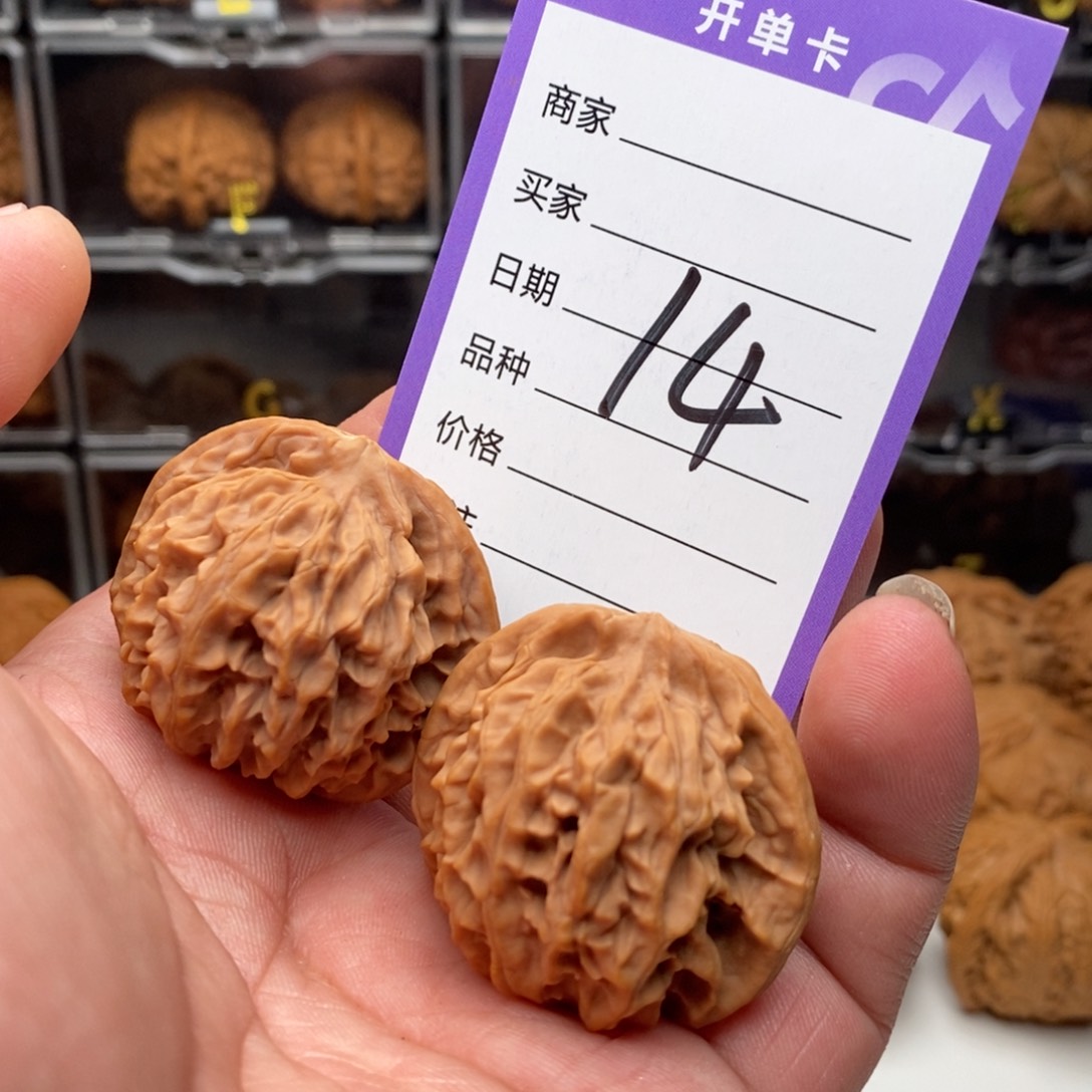 40野生秦公子一对全品