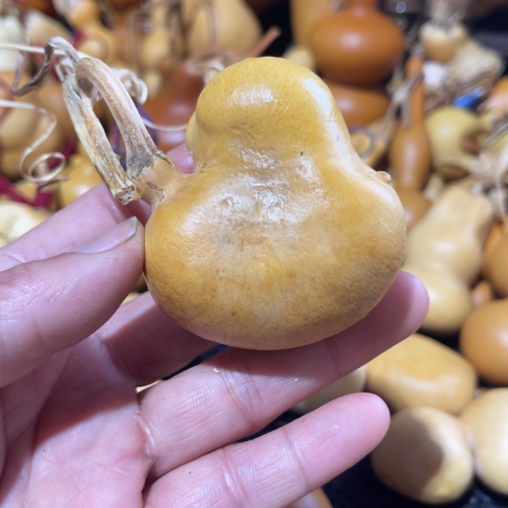 城***开葫芦哈哈哈哈哈哈就哈哈就