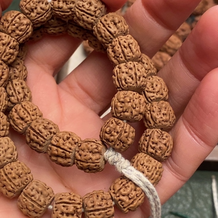 菩提蒙**雨藏切盘龙