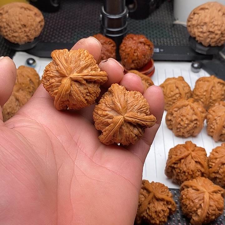 手串/手链核桃拼接白狮子24