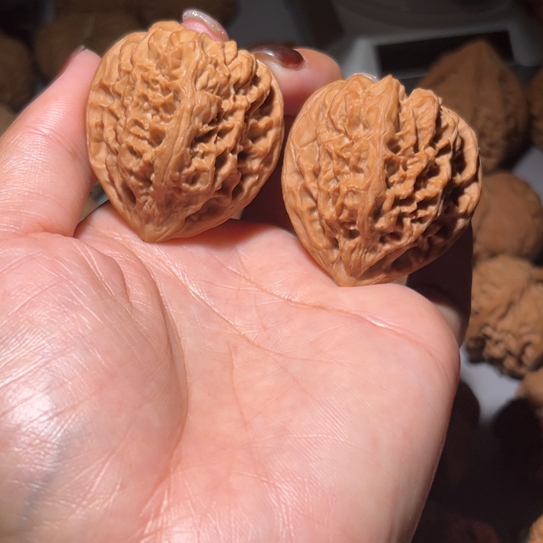 木质类野牛39全品