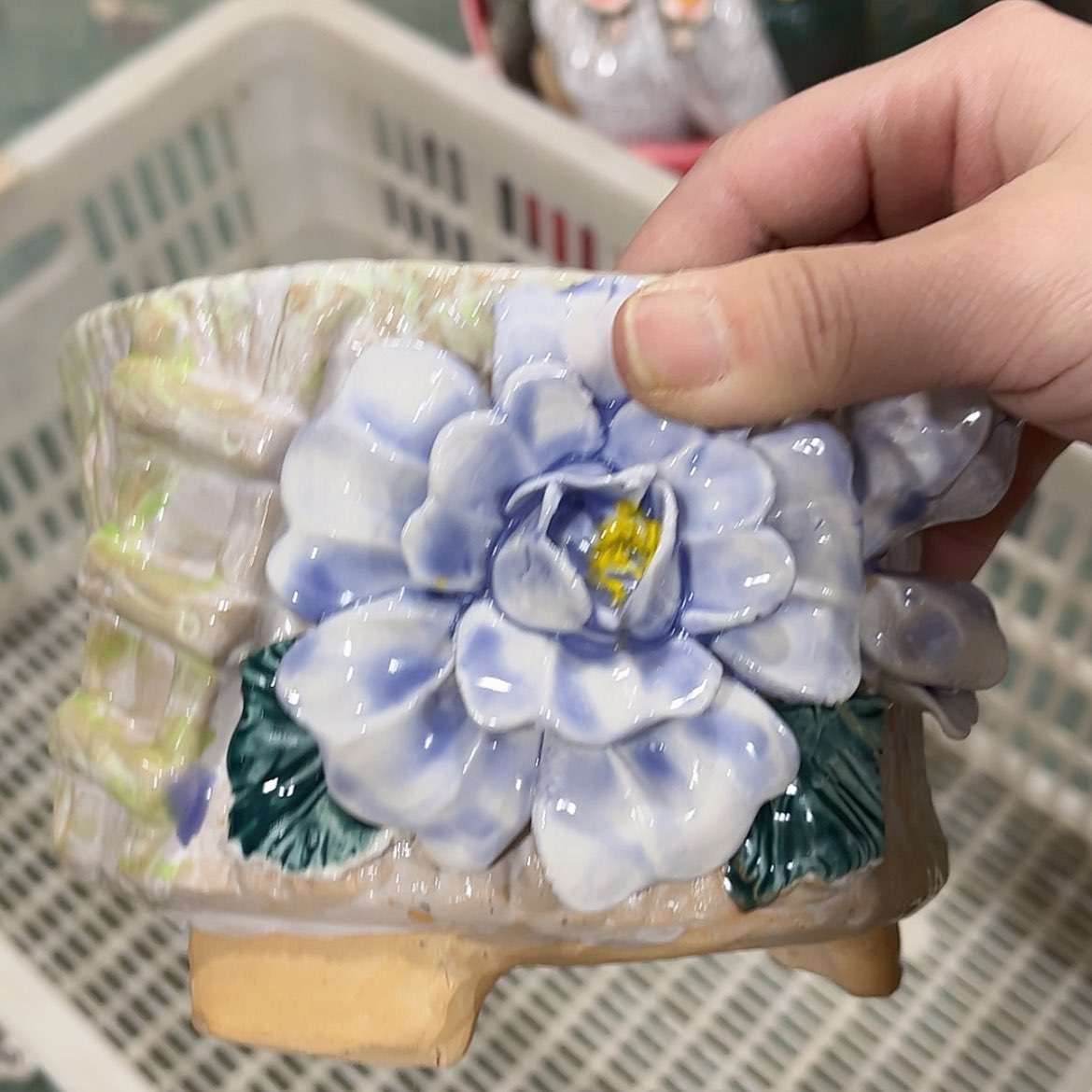 【闪购商品】红陶福利