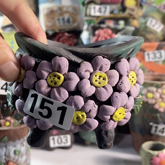 红陶多肉植物花盆