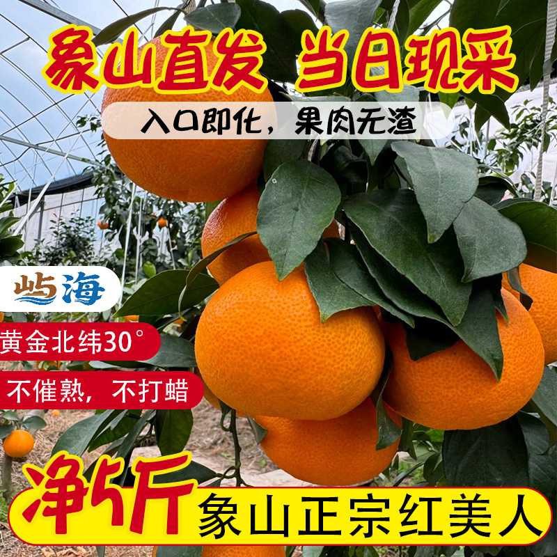 正宗象山爱媛28号果冻橙新鲜现发产地现采当季新鲜红美人果冻橙