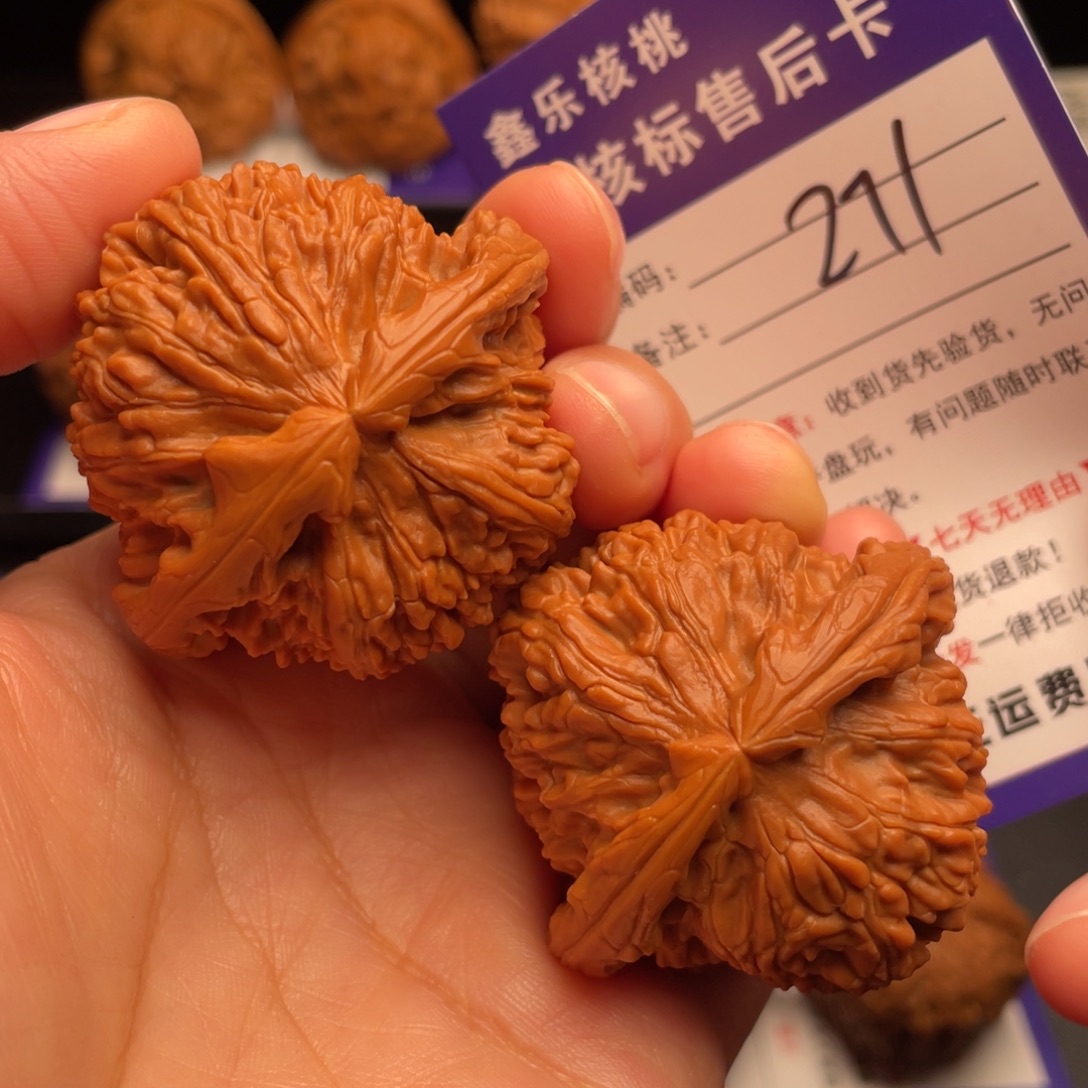 文玩核桃把件白狮子45尺