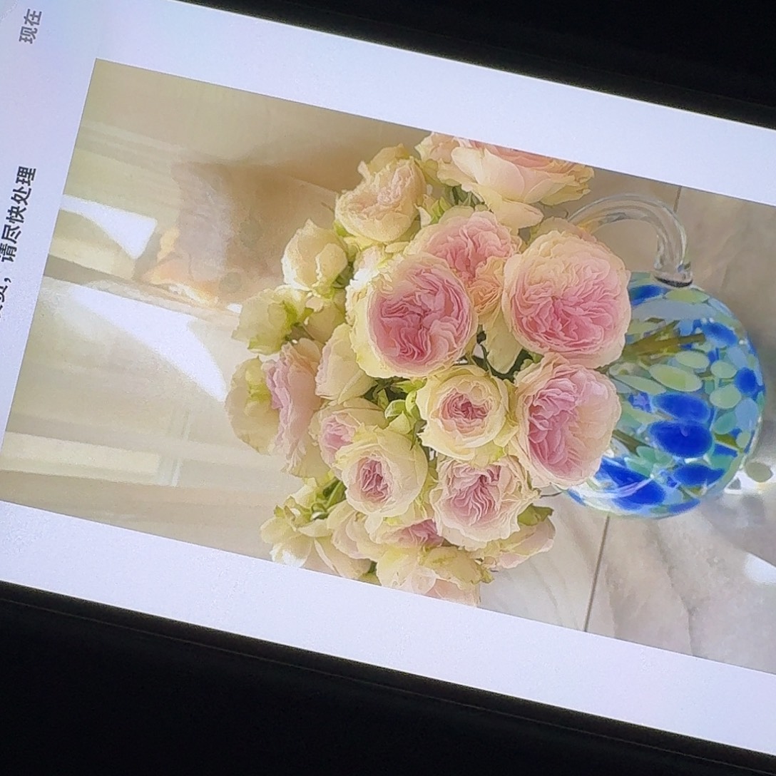 完全开放蓝月石15支！任选三件顺丰空运包邮