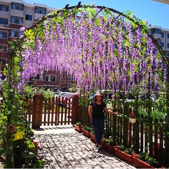 仿真紫藤花假花藤缠绕吊顶客厅室内婚庆装饰塑料花串藤蔓植物藤条