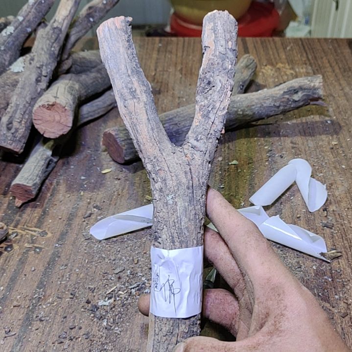 睡***佛火琉璃原杈不保沉水慎拍！