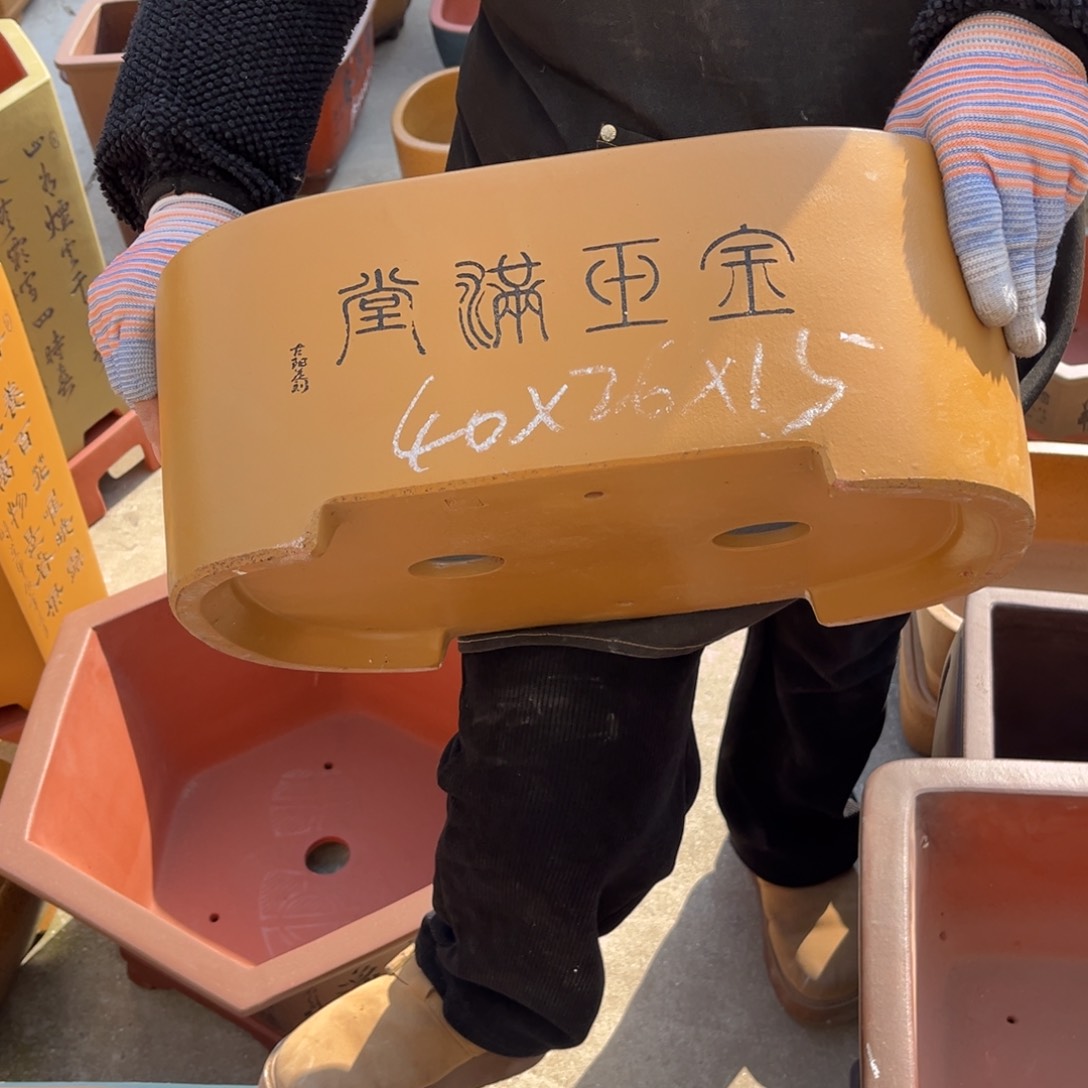 紫砂花盆盆景艺术
