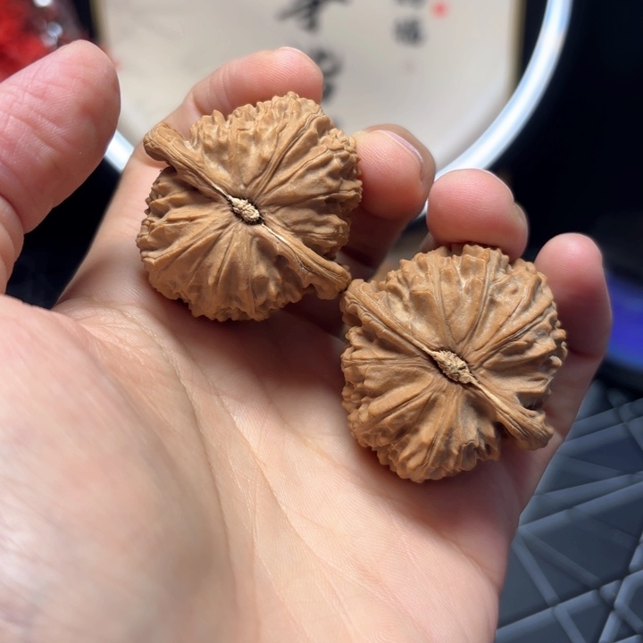 把件文玩核桃42尺全品白狮子福利对