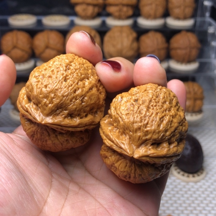 文玩核桃把件5降龙罗汉43+