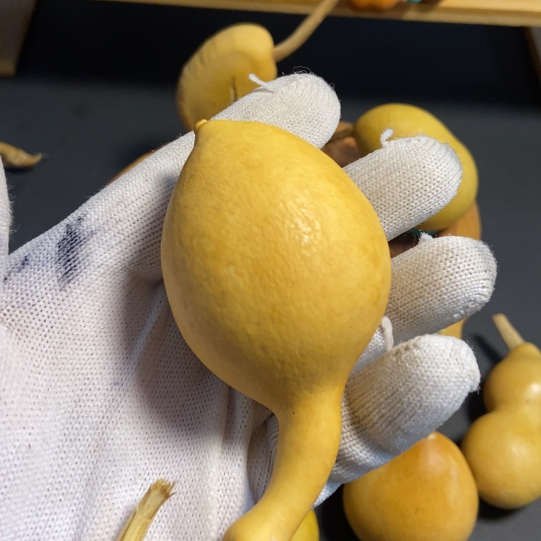 在*上葫芦葫芦真的