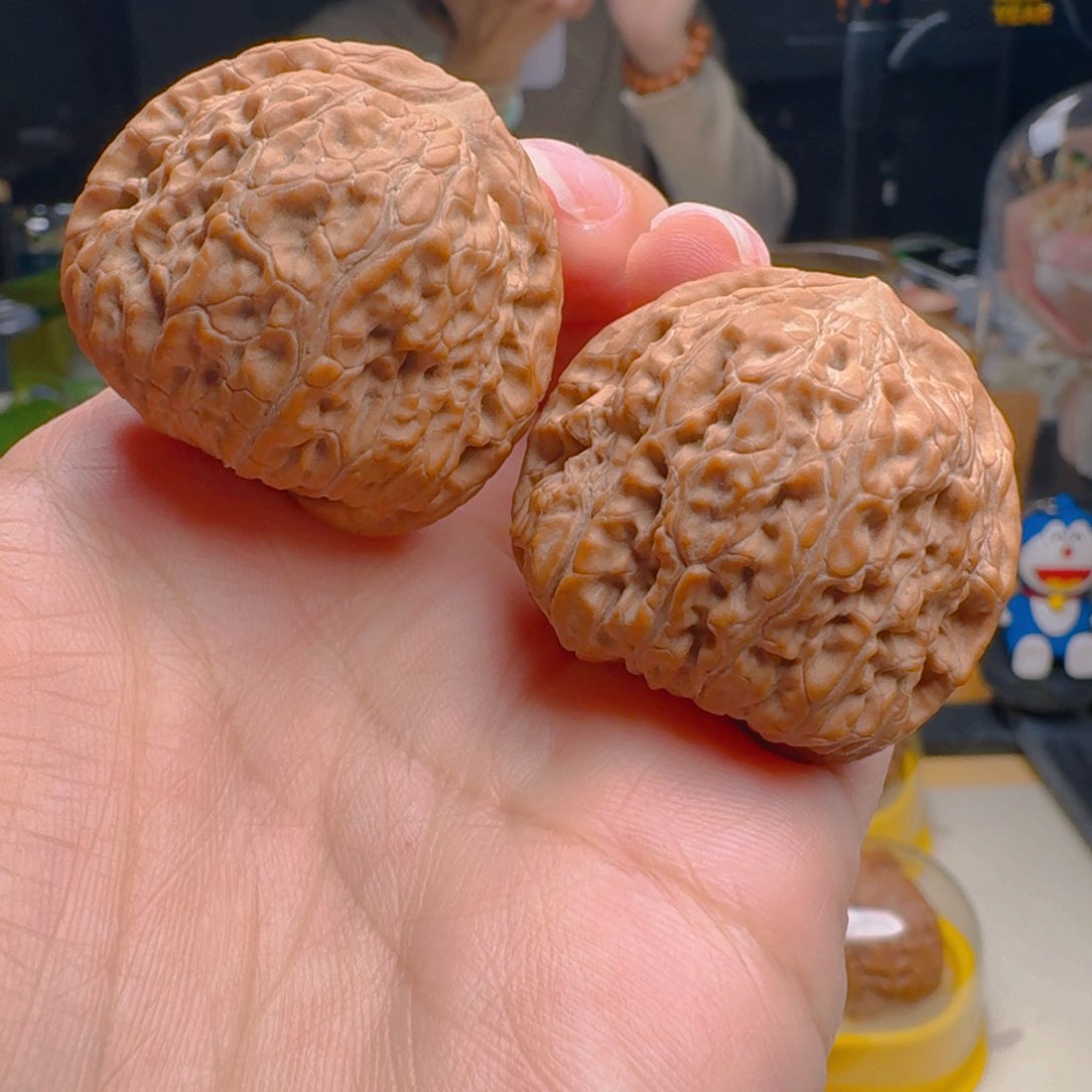 核桃把件36尺寸金蝉子