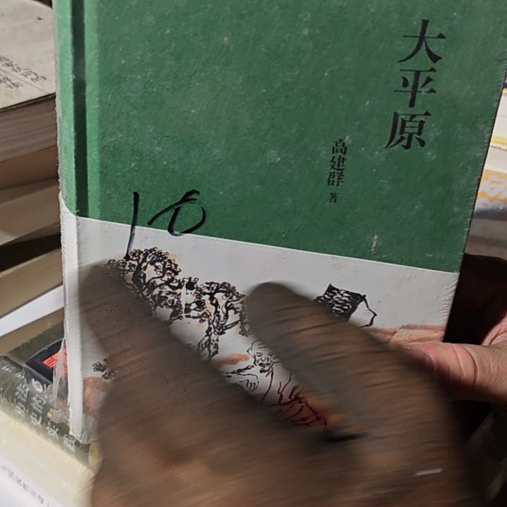 大平原精装塑封瑕疵介意勿拍介意