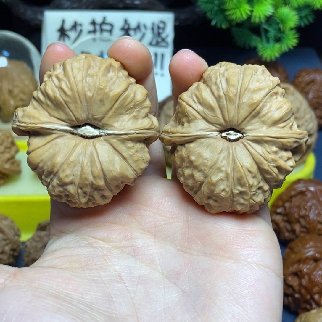 核桃南瓜墩全品新果44尺4