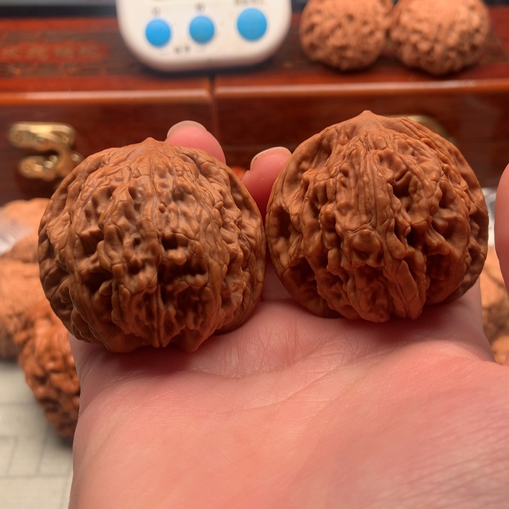 大叶紫檀（黑酸枝木类）