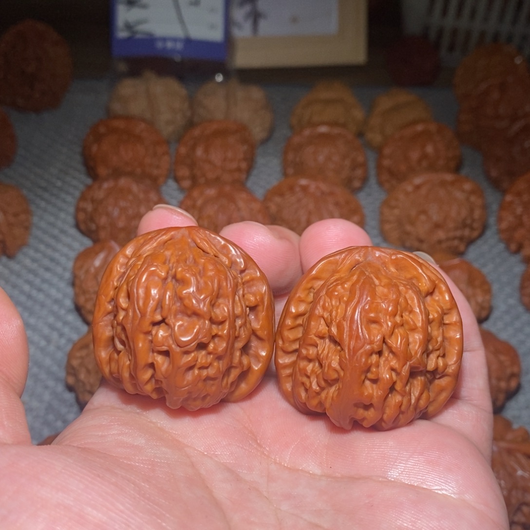 把件文玩核桃38.39.36白狮子