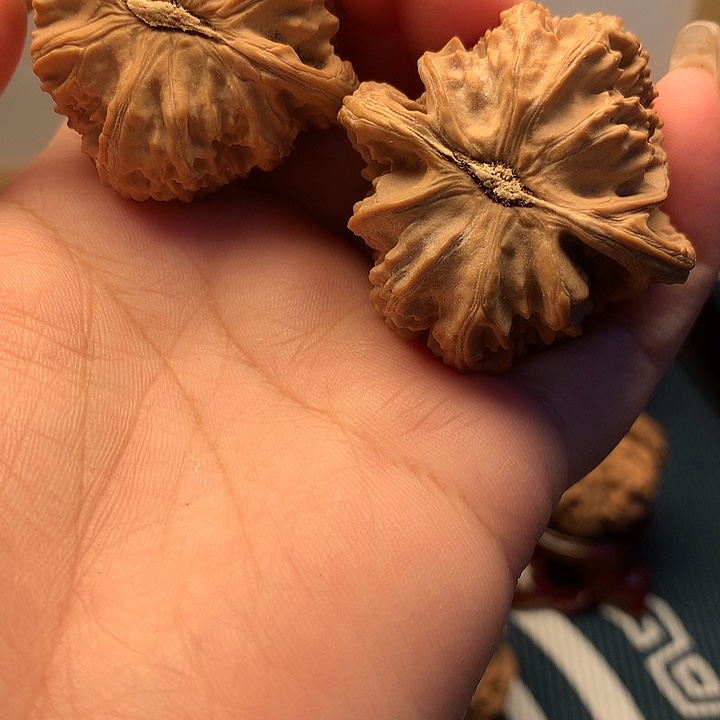 吊坠文玩核桃白狮子