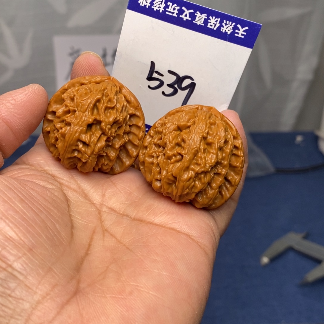 把件文玩核桃36白狮子