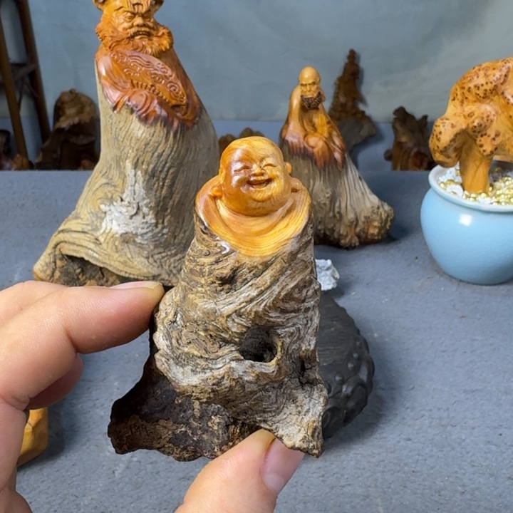 用***2柏木（崖柏）太行崖柏