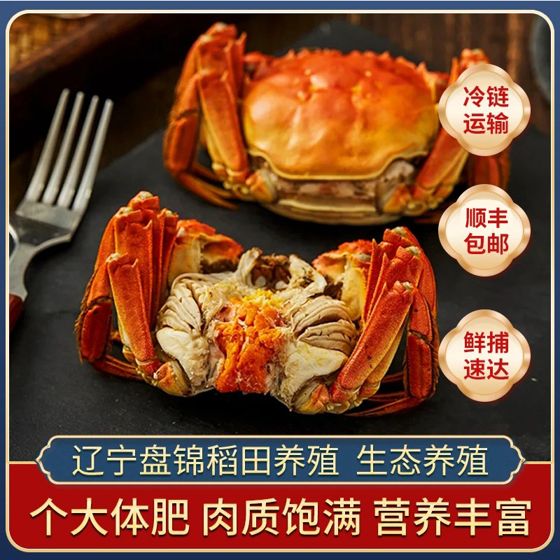【活蟹】盘锦河蟹海鲜母蟹1~1.3两，2斤/3斤.