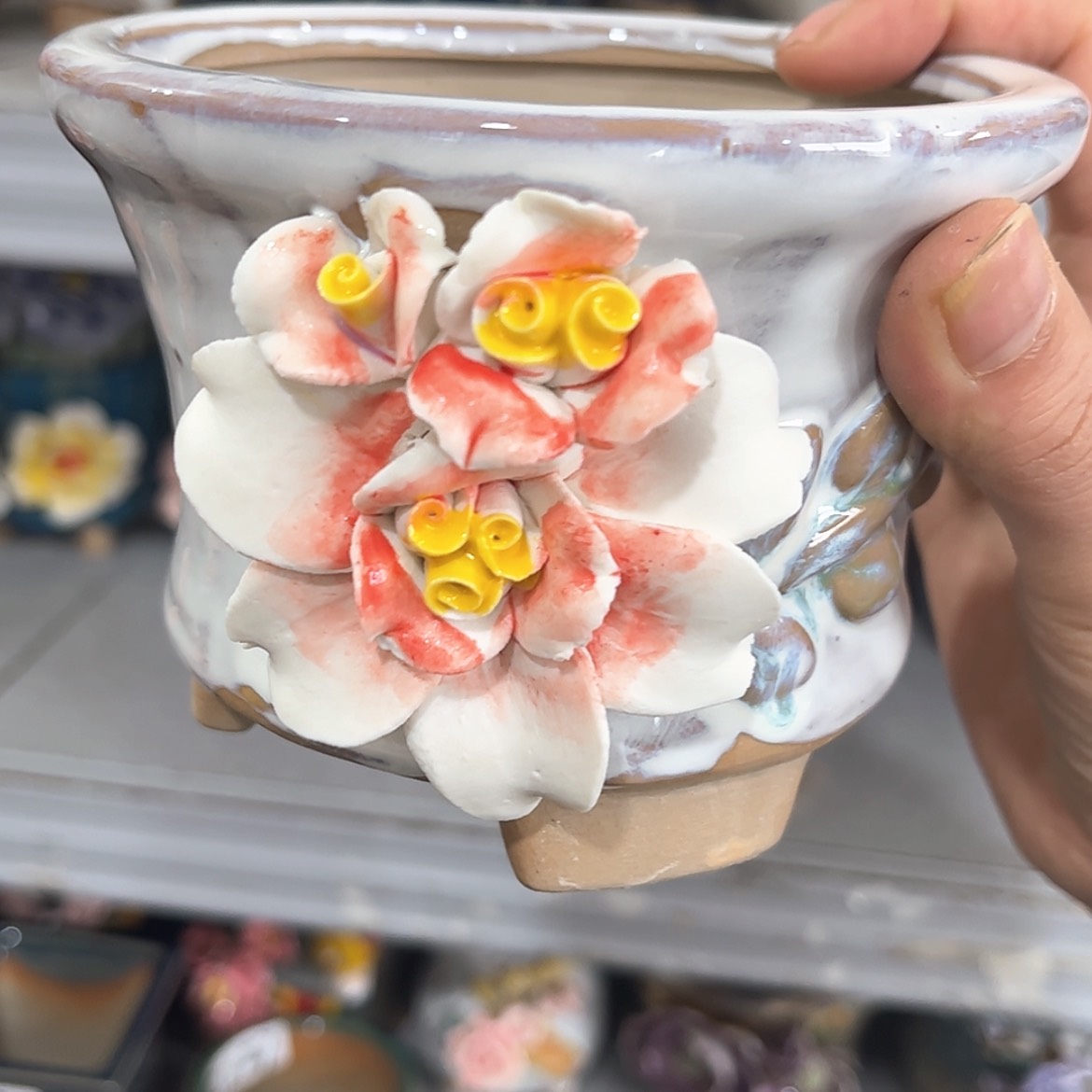 【闪购商品】红陶福利