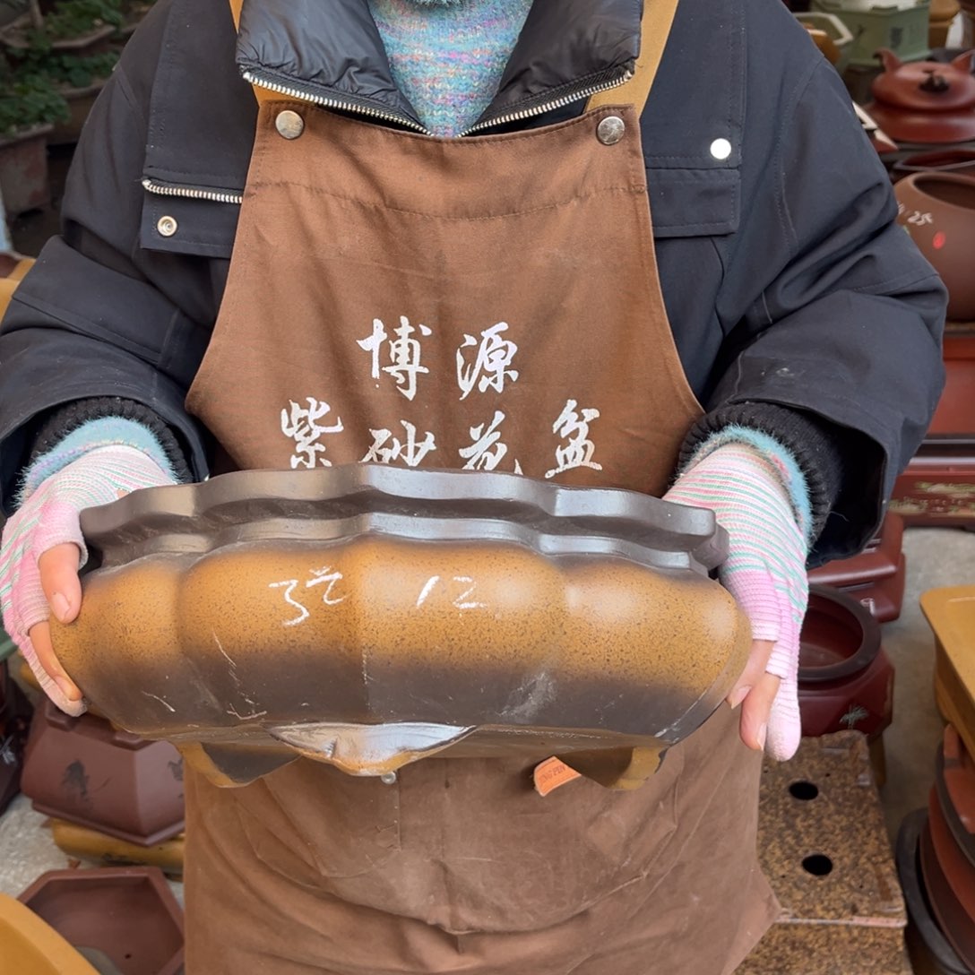 花盆紫砂盆景艺术