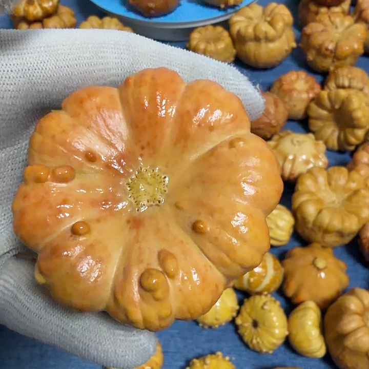 忘***岸墨西哥七彩疙瘩葫芦