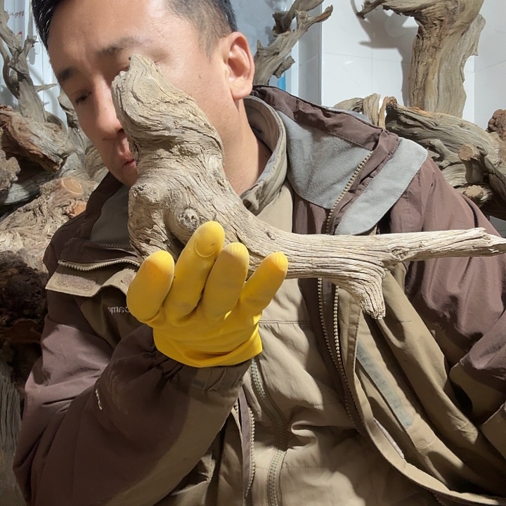 风***你柏木崖柏毛料的加工