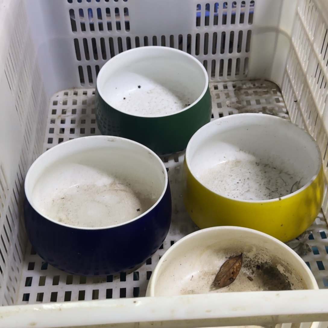 微瑕疵介意勿拍陶瓷器皿F239一个发货，不接受指定颜色